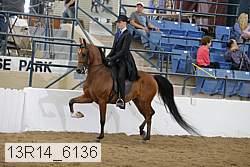 13r14_6136 proof