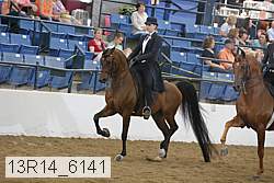 13r14_6141 proof