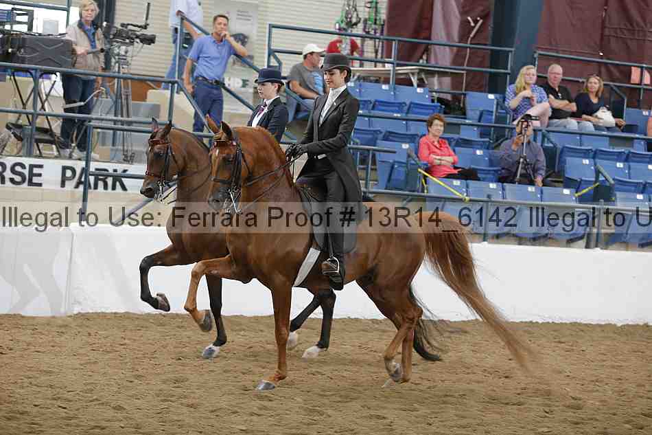 Proof 13r14_6142