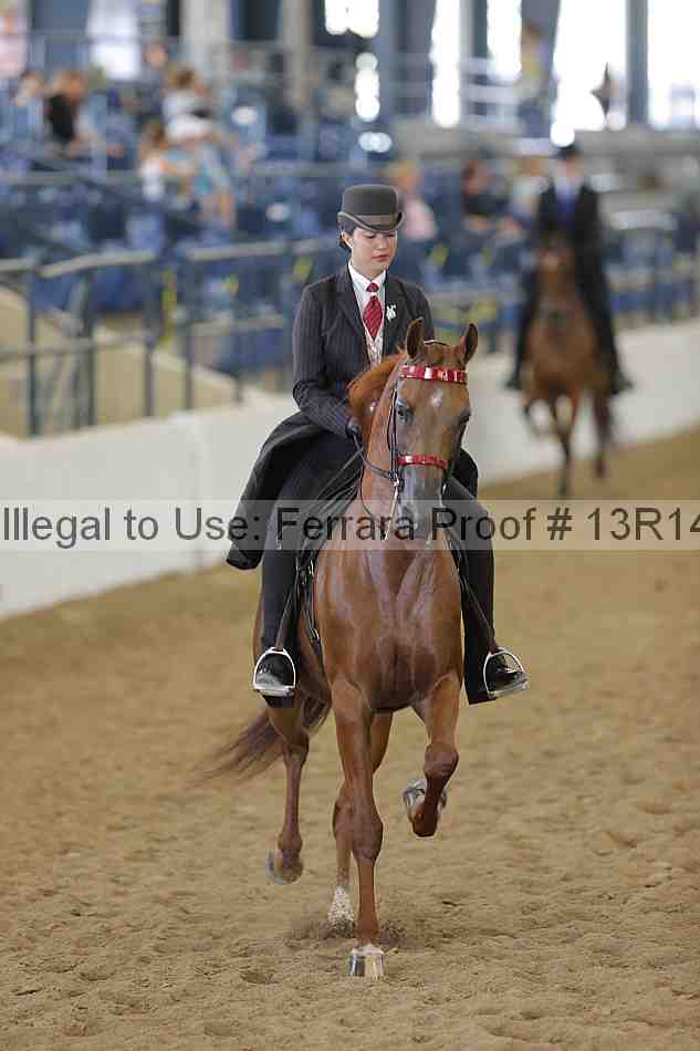 Proof 13r14_6145