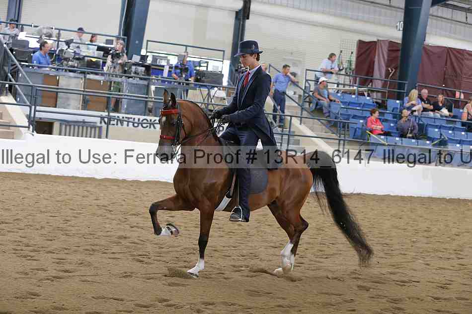 Proof 13r14_6147