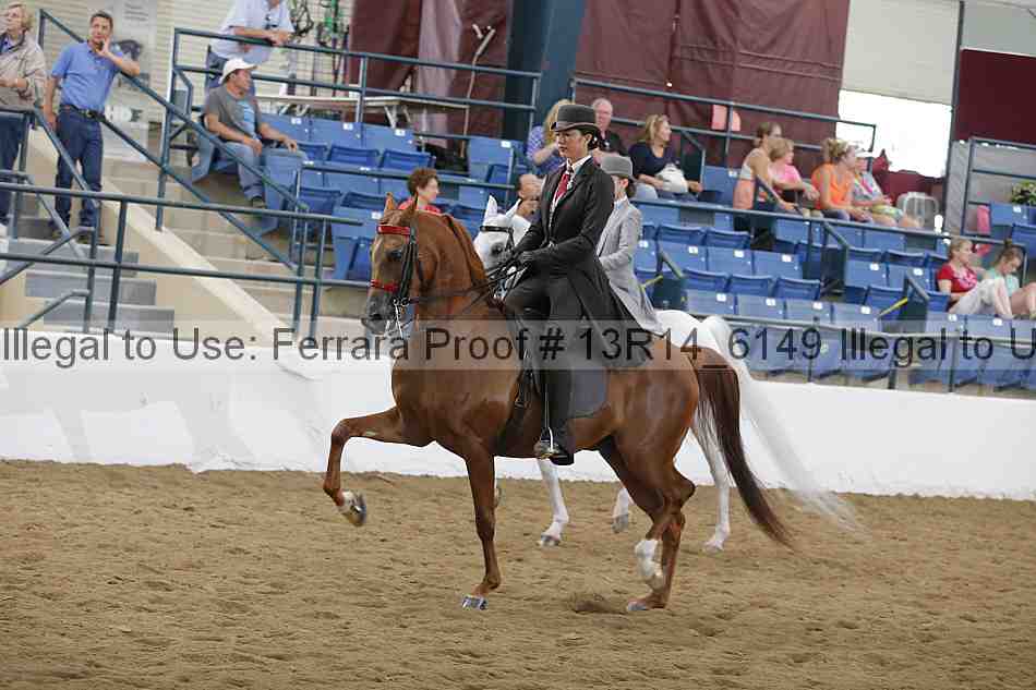 Proof 13r14_6149