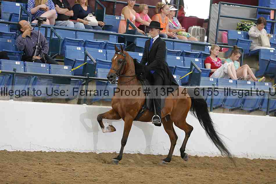 Proof 13r14_6155