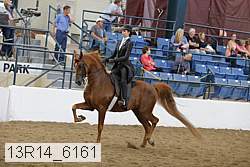 13r14_6161 proof