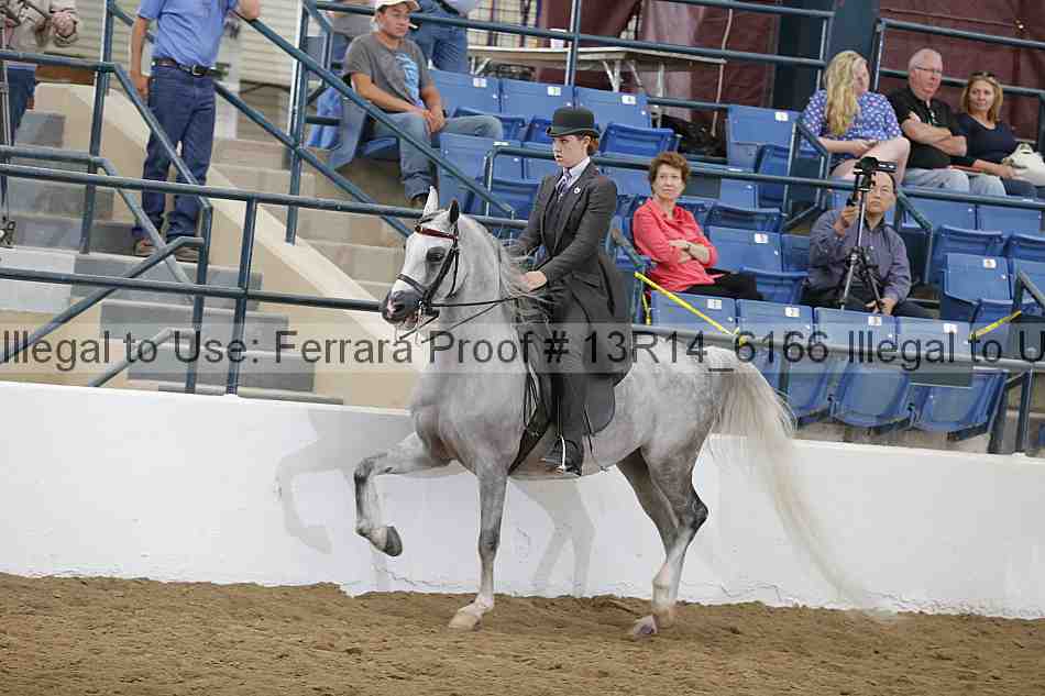 Proof 13r14_6166