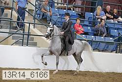 13r14_6166 proof