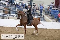 13r14_6167 proof