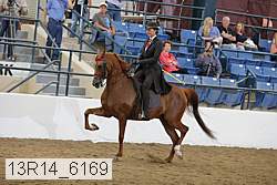 13r14_6169 proof