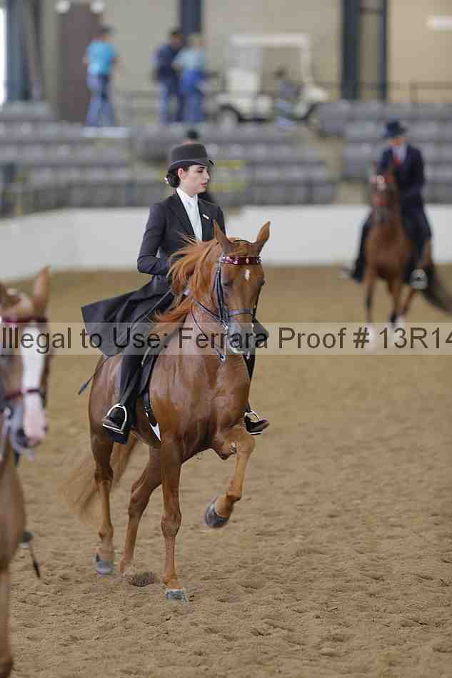 Proof 13r14_6174
