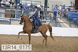 13r14_6175 proof