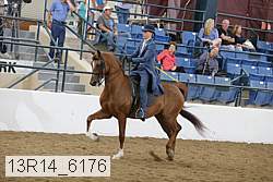 13r14_6176 proof