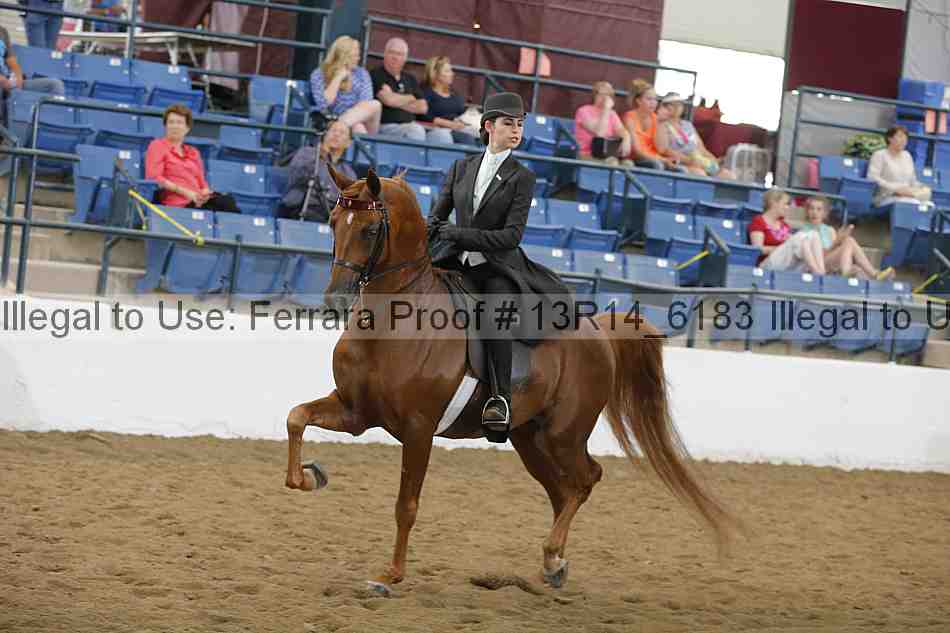 Proof 13r14_6183