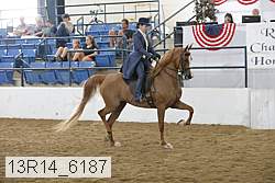 13r14_6187 proof