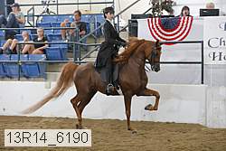 13r14_6190 proof