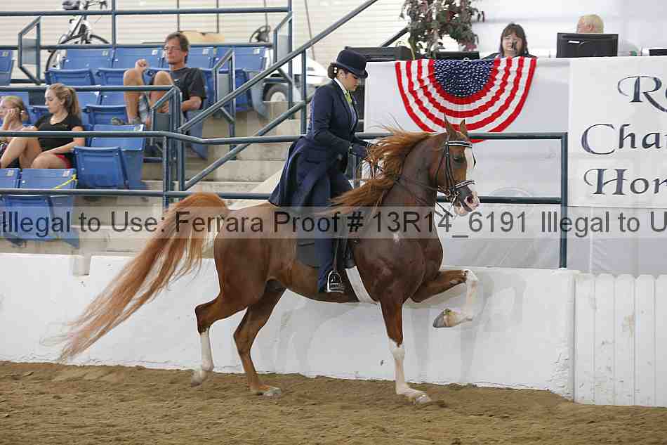 Proof 13r14_6191