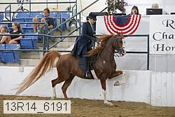 13r14_6191 proof