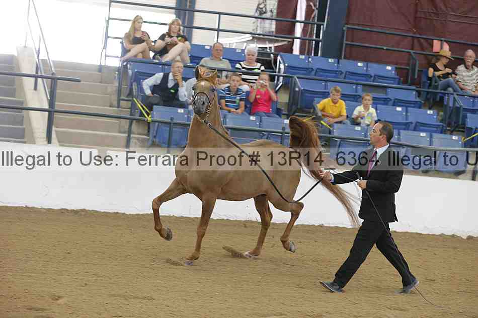 Proof 13r14_6364