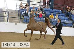 13r14_6364 proof