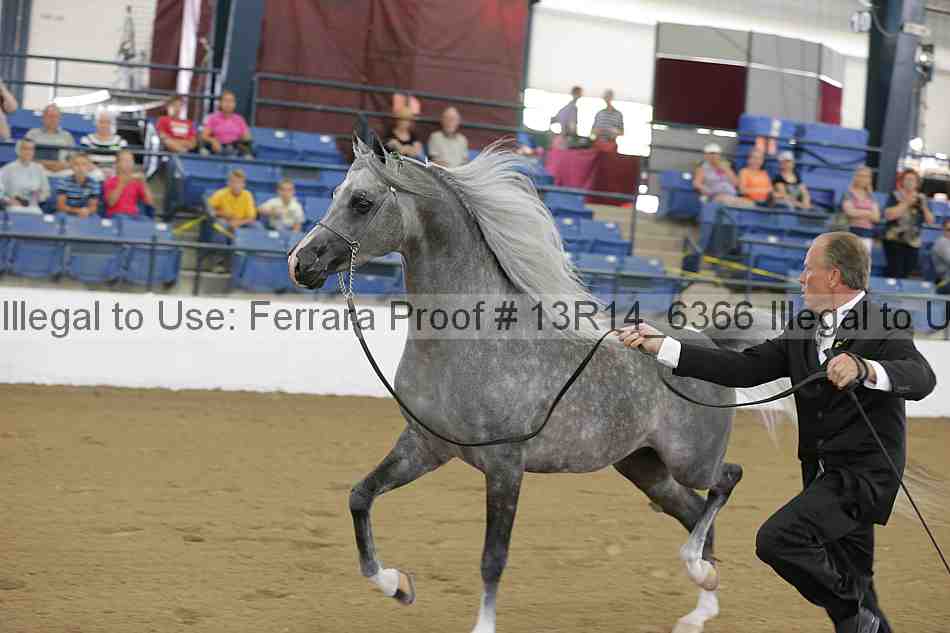 Proof 13r14_6366