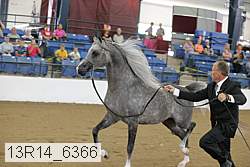 13r14_6366 proof