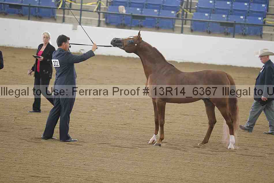 Proof 13r14_6367