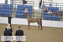 13r14_6370 proof