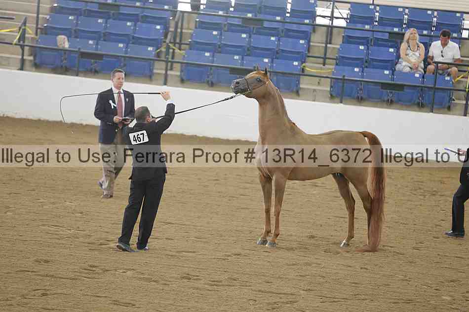 Proof 13r14_6372