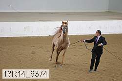 13r14_6374 proof