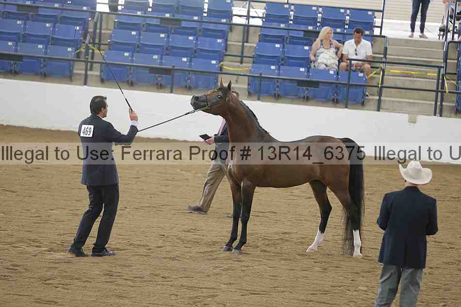 Proof 13r14_6375