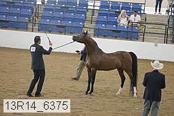13r14_6375 proof