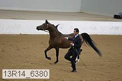 13r14_6380 proof
