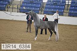 13r14_6384 proof