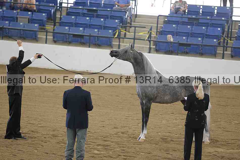 Proof 13r14_6385