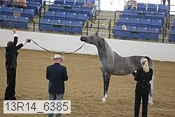 13r14_6385 proof