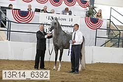 13r14_6392 proof