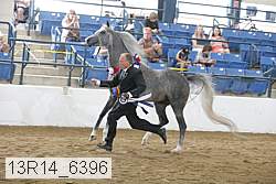 13r14_6396 proof