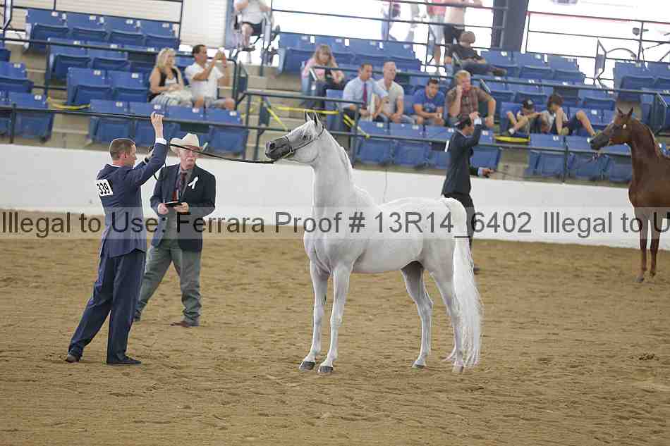 Proof 13r14_6402
