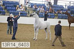 13r14_6403 proof