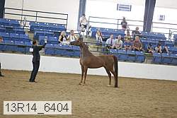 13r14_6404 proof