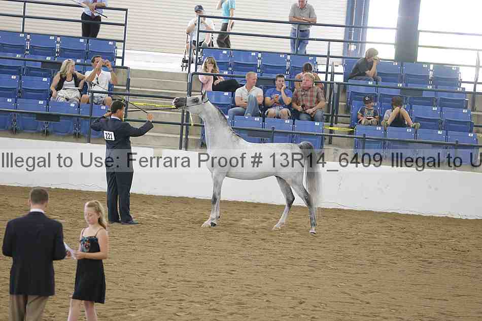 Proof 13r14_6409