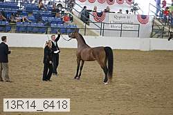 13r14_6418 proof