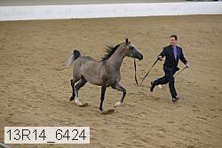 13r14_6424 proof