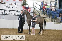 13r14_6428 proof