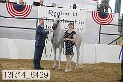 13r14_6429 proof