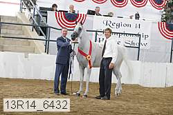 13r14_6432 proof