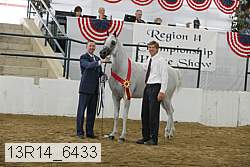 13r14_6433 proof