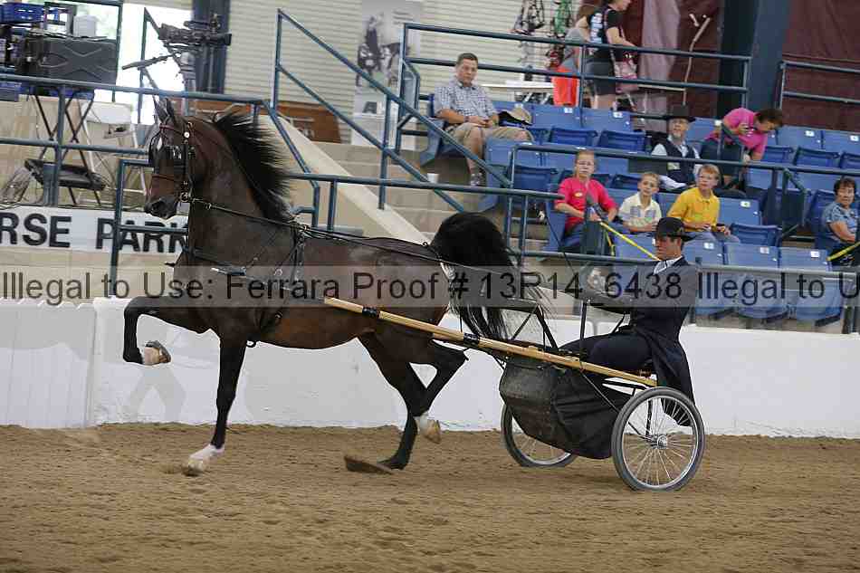 Proof 13r14_6438