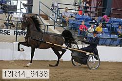13r14_6438 proof