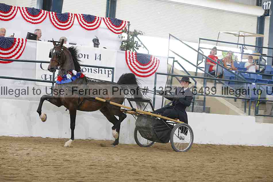 Proof 13r14_6439
