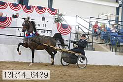 13r14_6439 proof